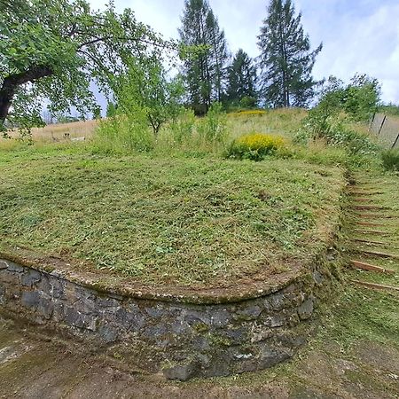 Platell Ferienhaeuser Harz Lerbach 外观 照片