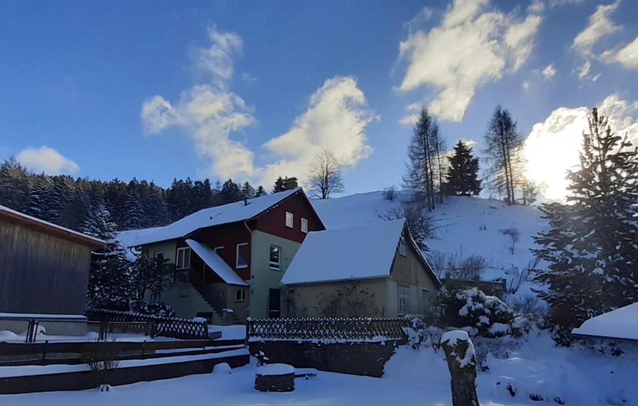 Platell Ferienhaeuser Harz Lerbach 外观 照片