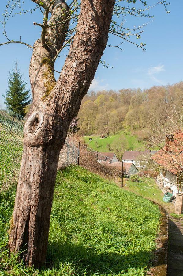 Platell Ferienhaeuser Harz Lerbach 外观 照片